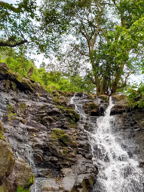 Coming Back to My Hometown