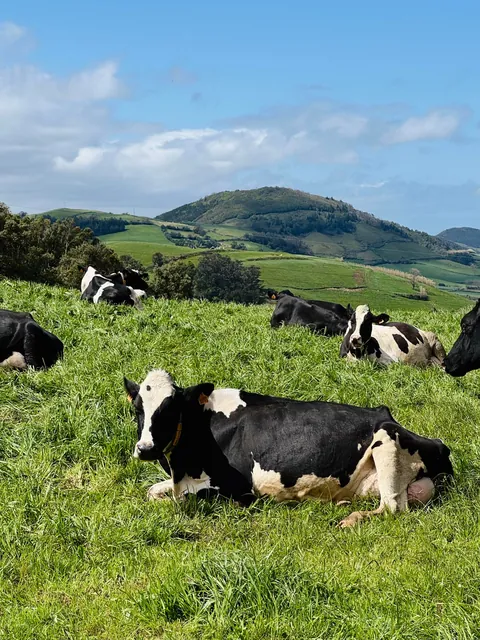 São Miguel, Azores (Portugal): A paradise for nature lovers