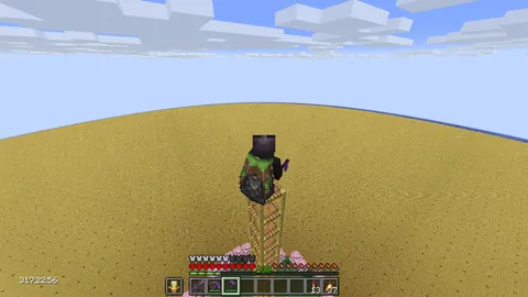 My Hardcore 764,501 block wheat farm is finished