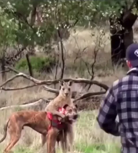He was ready to square up 😂🤣😭