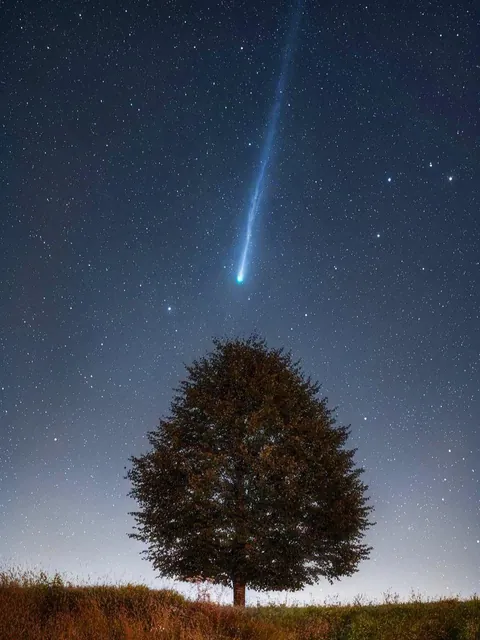 Today’s comet Lemmon by Uroš Fink