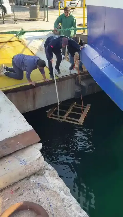 Poor kitten rescued from drowning