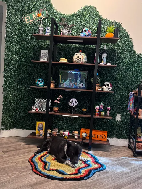 Moved out for the first time, vibes accumulating