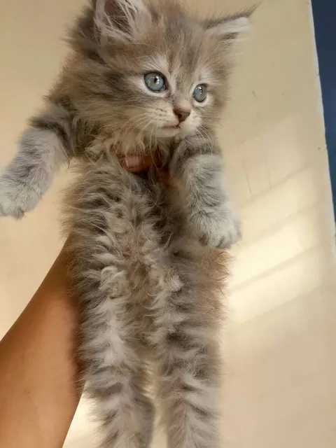 A new baby in the house! What name can we give her