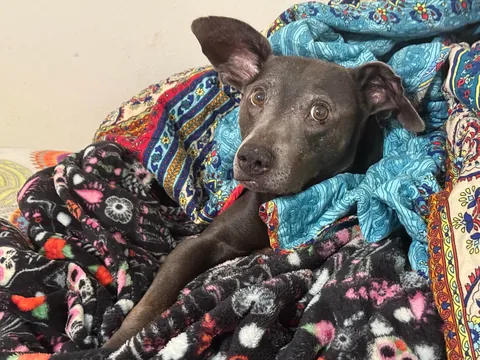 My momma says that I’m the babiest of all the baby boys.