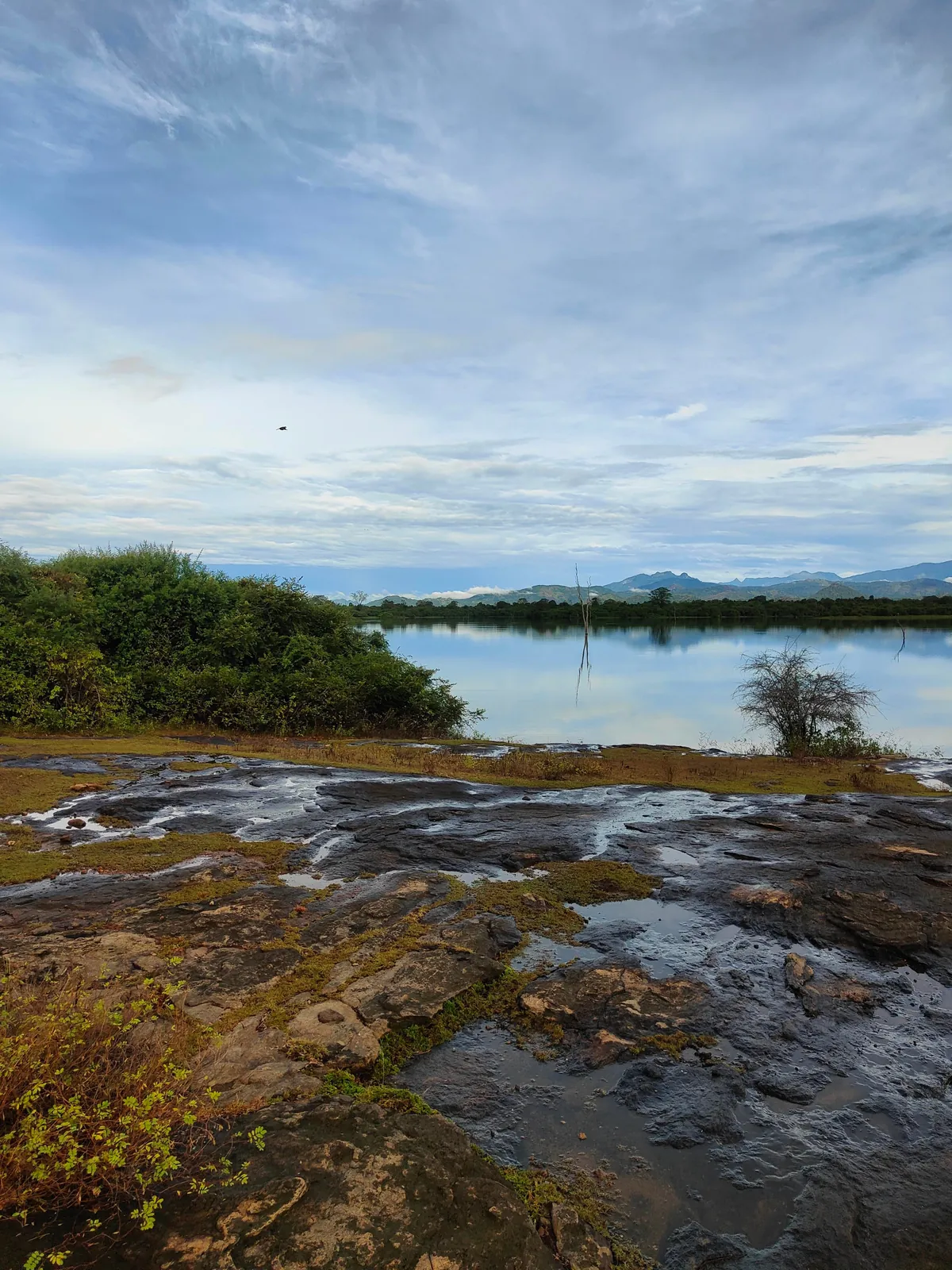 Sri Lanka : sun, tuk-tuks and mild disappointments.