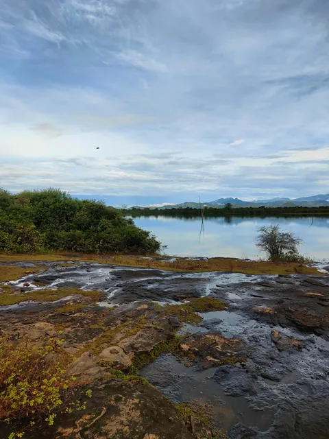 Sri Lanka : sun, tuk-tuks and mild disappointments.