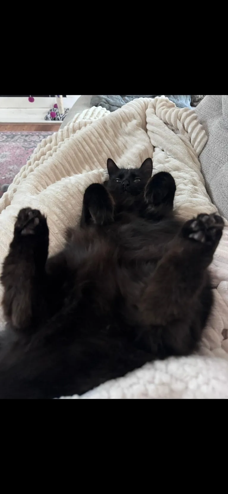 I’m abroad for ten days and I miss himmmmm