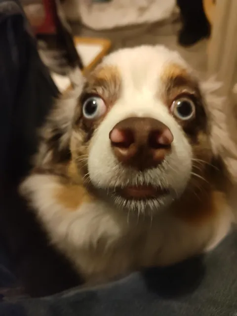 Her name is actually Derpy. For good reason