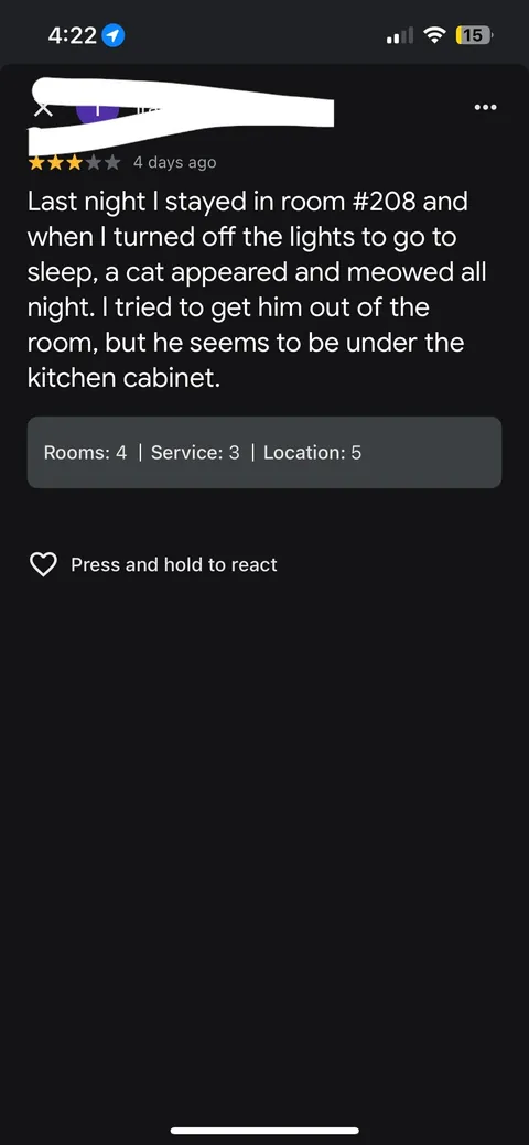 Imagine laying down for the night at a hotel, &amp; here comes a random cat out of nowhere 🤣 my cat is an ahole