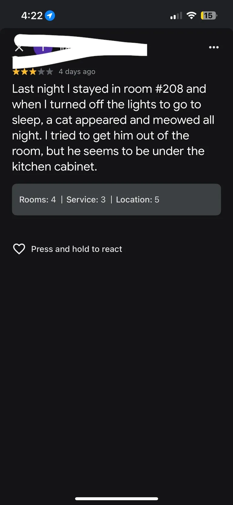 Imagine laying down for the night at a hotel, &amp; here comes a random cat out of nowhere 🤣 my cat is an ahole