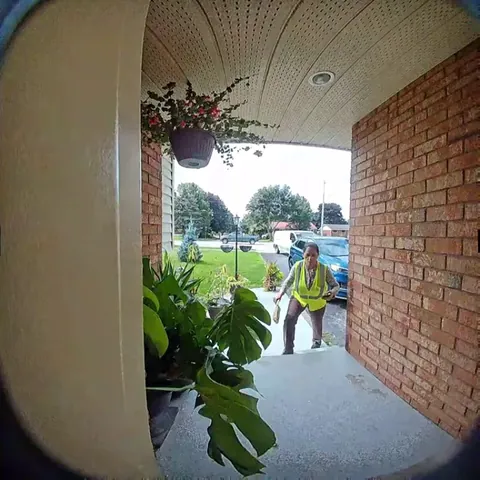 Amazon delivery lady steals package