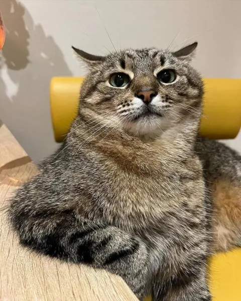 How are you doing, people?