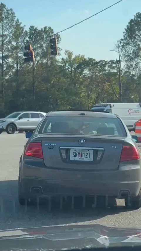 What the hell is going on? . . . Oh. [oc]