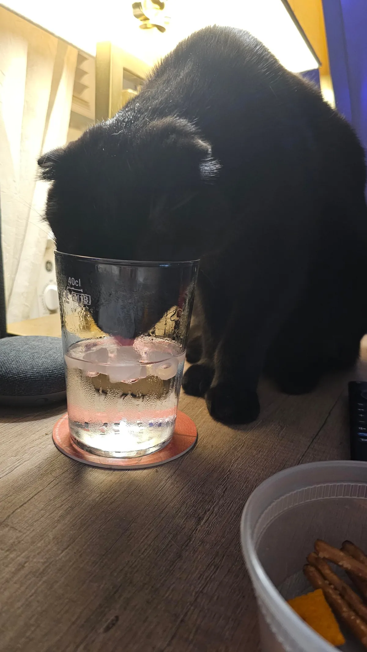 Are my cats ...okay? be honest