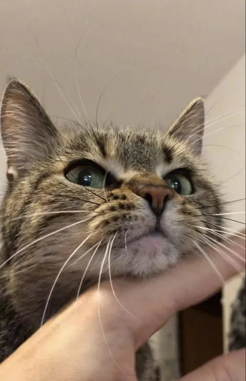 Happy birthday to my baby! I love him so much