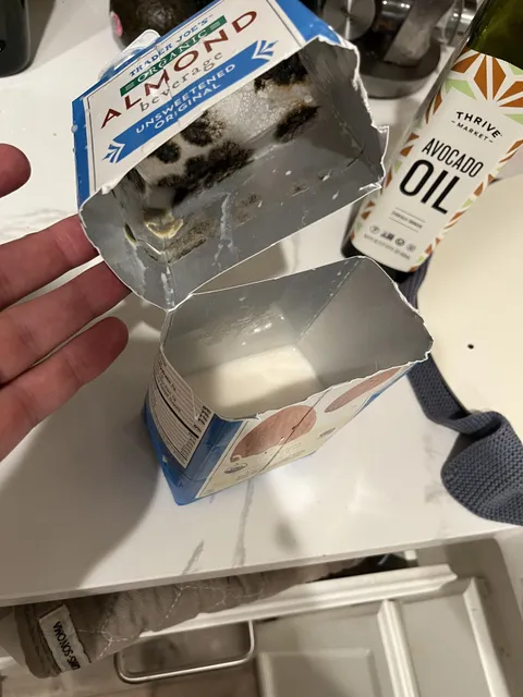 Found black mold in my almond milk drinking carton.