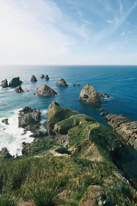 First days in New Zealand: The Catlins