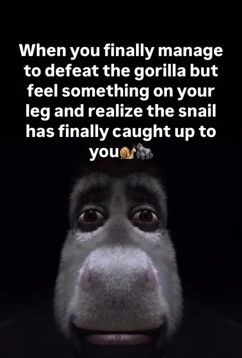 Elite ball knowledge