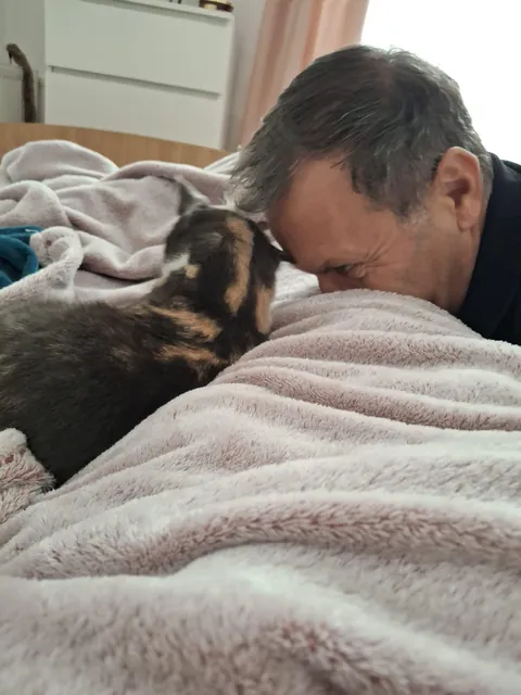 My dad after he SWORE he didn`t want a cat