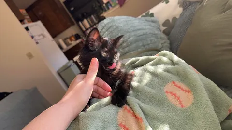 What would you name her?