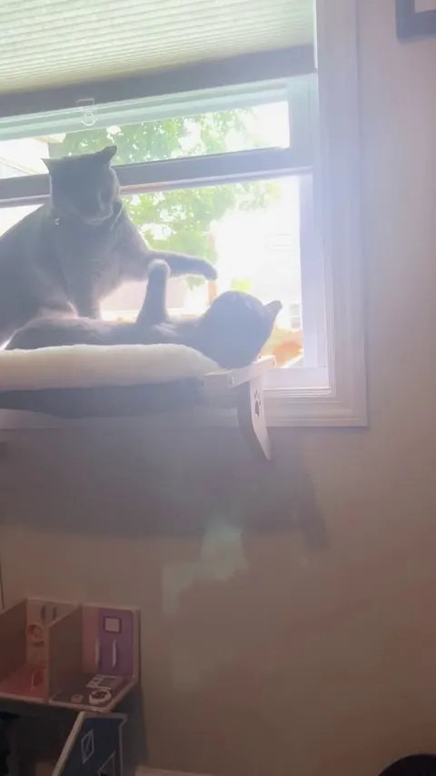 They have been together for over a year with no problem