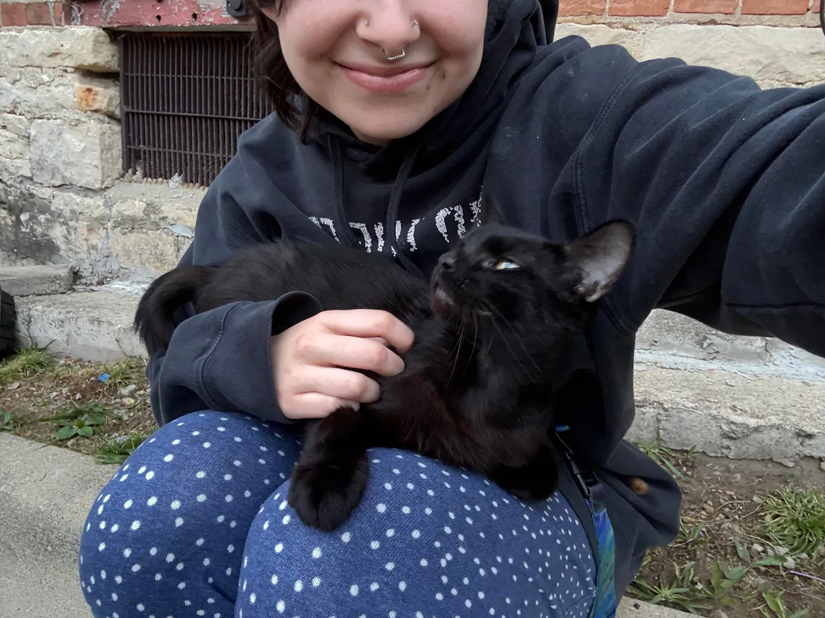 UPDATE: pregnant stray found