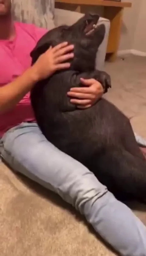 Calming down bro who sold at 72K last month