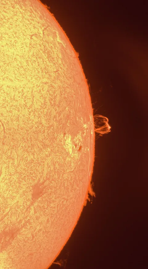 I captured a prominence on the western limb of the sun on 7 Oct 24