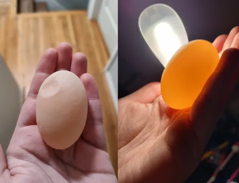 My 8ish year old hen laid this egg with no outer shell and no yolk.