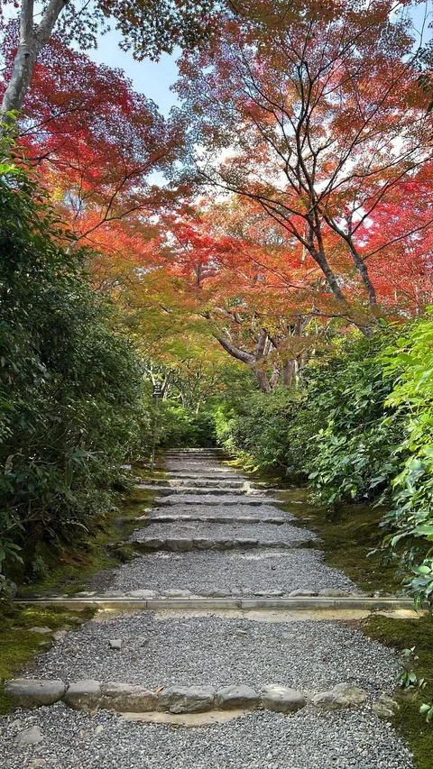 Kyoto, Japan Trip in November 2025.