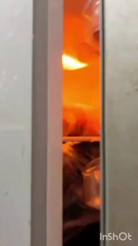 Just trying to chill ❄️