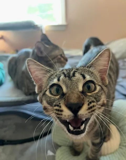 Kept the family together