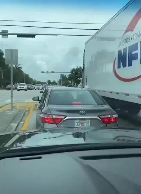 Best truck driver, this truck drivers has stopped traffic, to helps an elderly lady to cross the street