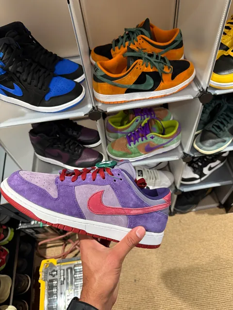 Bday gift from my girl