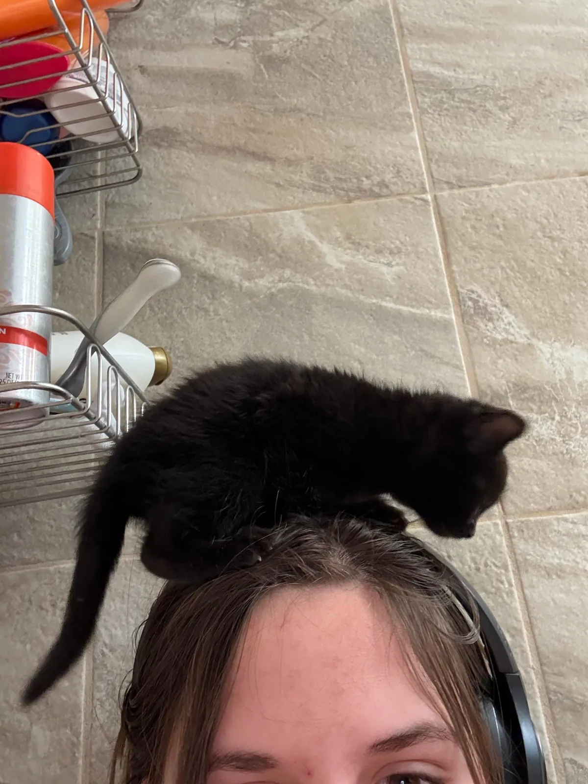 Bobbi has never in her 7 months of life let her hatred of water get in the way of her clinginess.