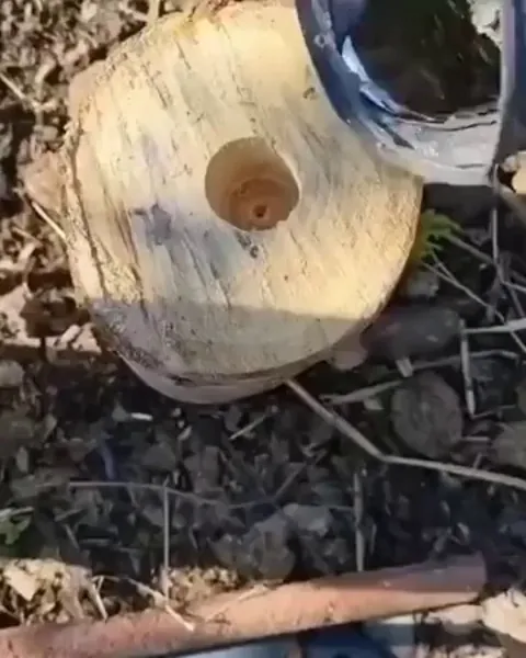 Everything is shiny!