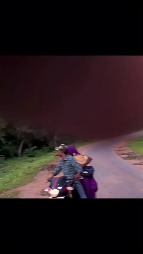 Massive male Bengal tiger crossing a road in India