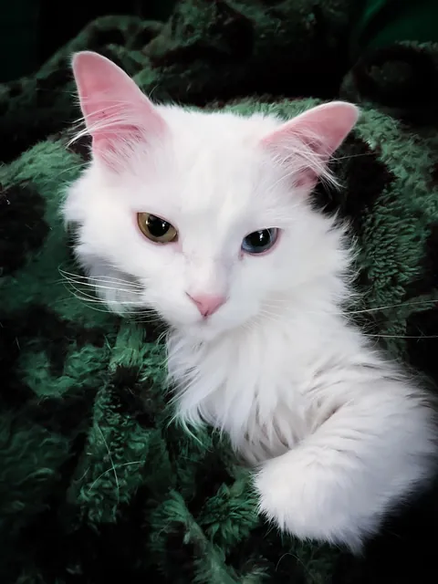 Does anyone else find her downright adorable?