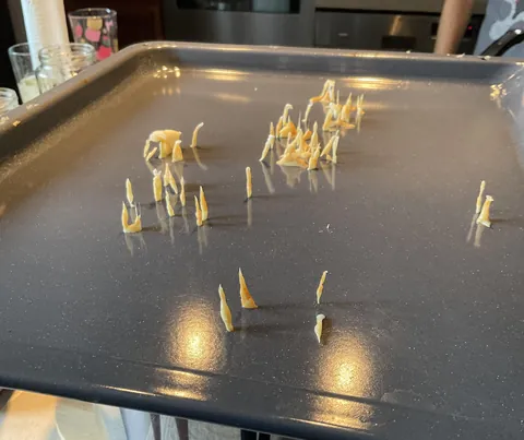 Cheese stalagmites from making cheesy potatoes