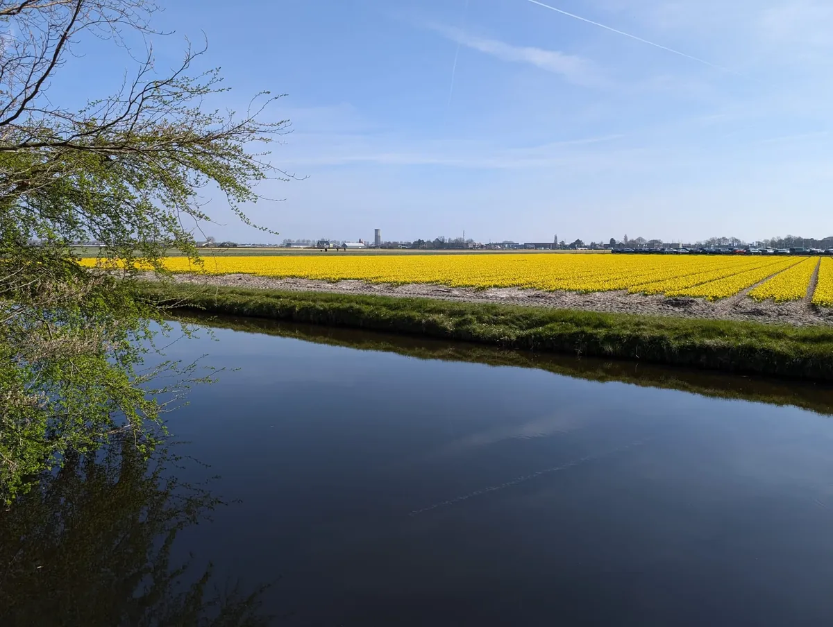 Amsterdam, Netherlands.  March 2025