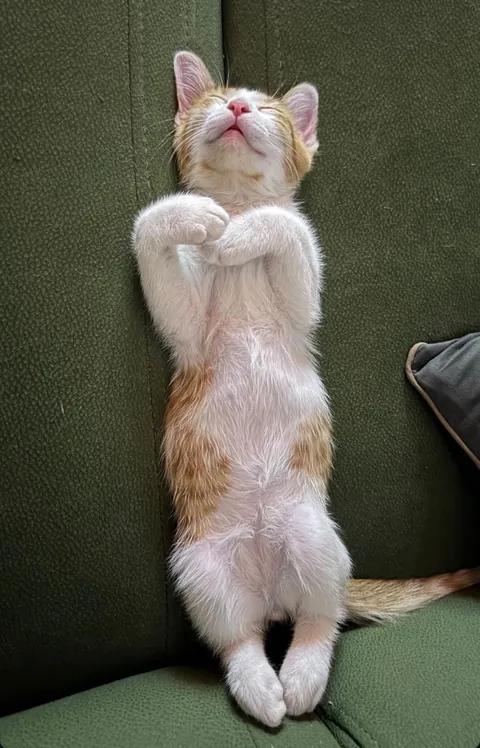 Some things never change