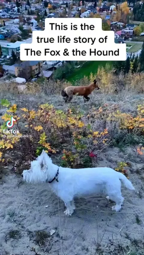 A unexpected friendship