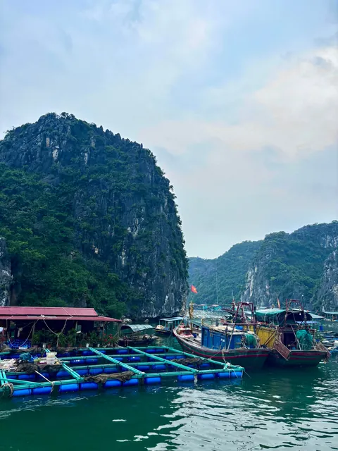 5 weeks in Vietnam 🇻🇳