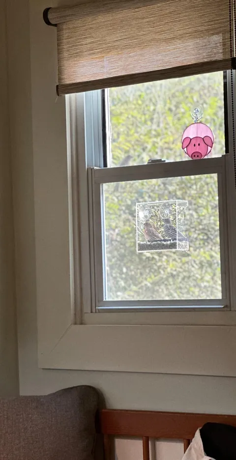 my first home and favorite place to be