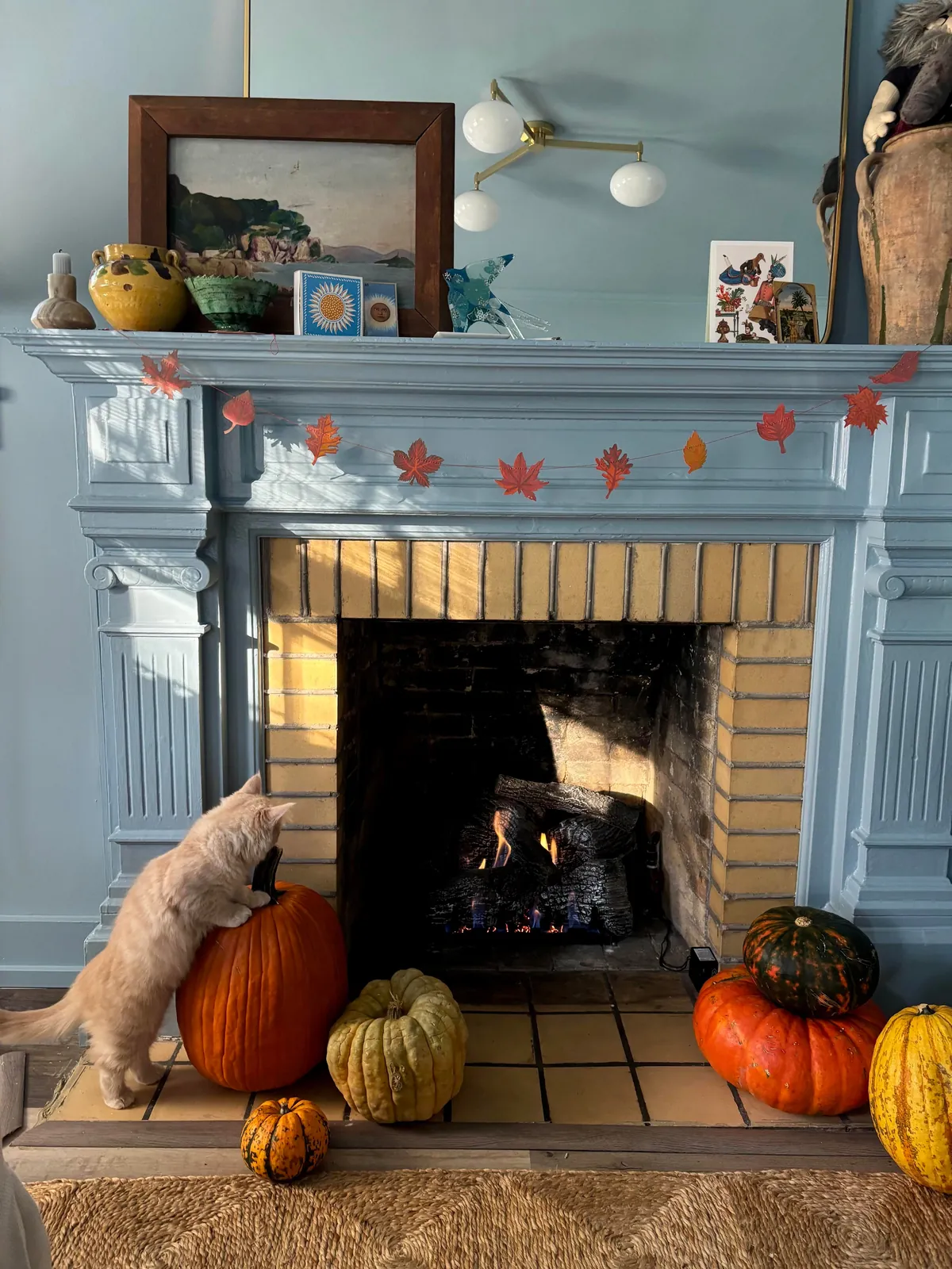 George is having a cozy fall 🐱