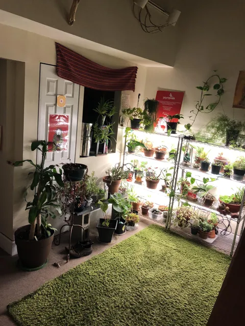 The study in my Airbnb