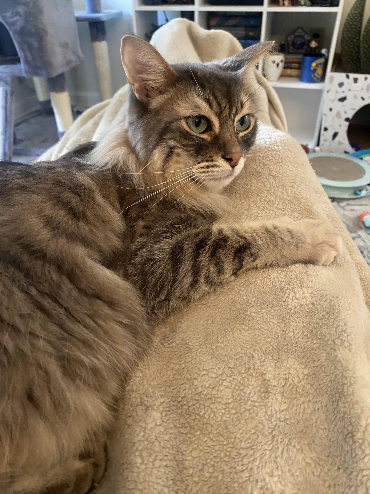 Said goodbye to my sweet boy last night