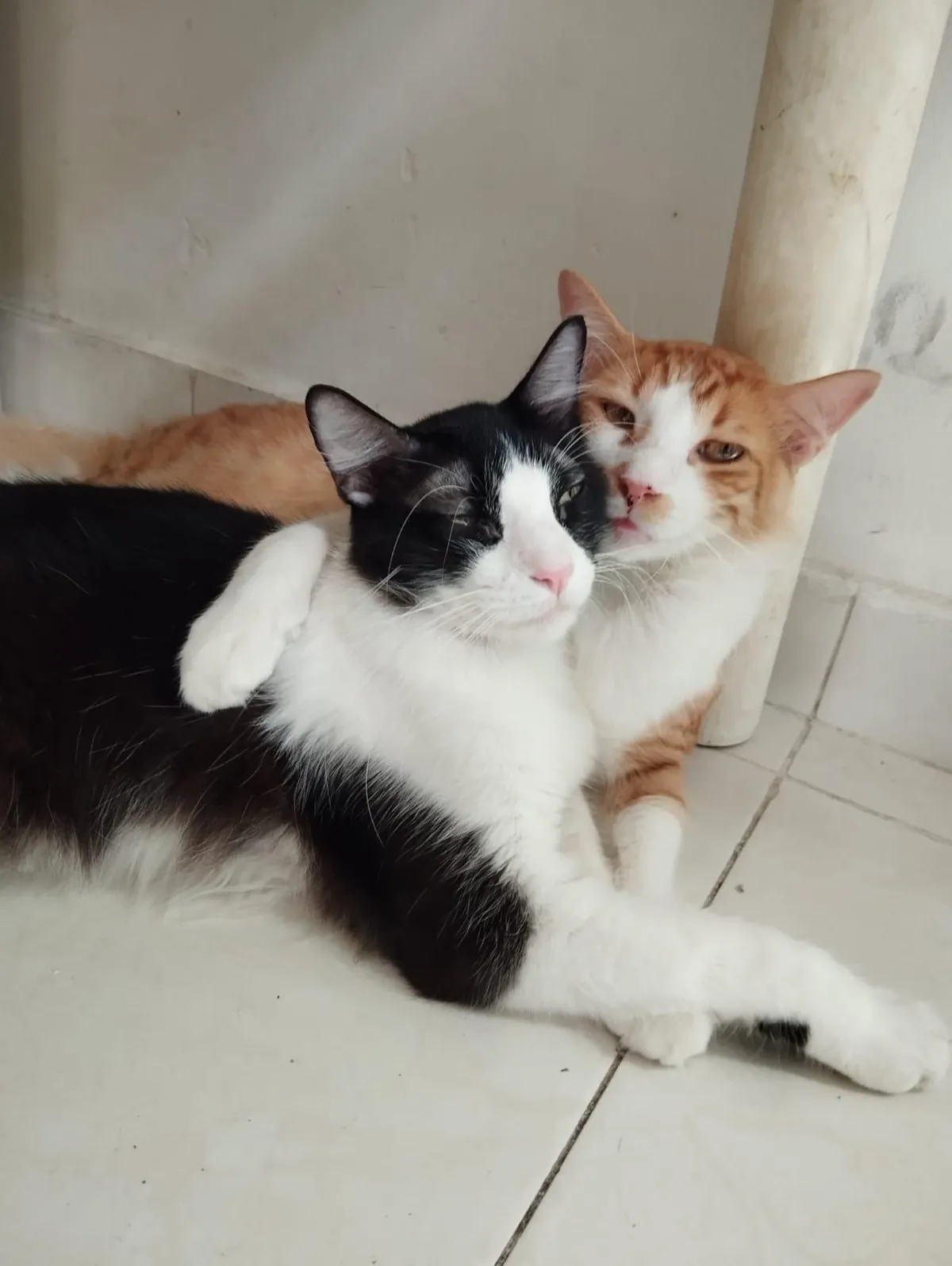 He loves his brother very much.