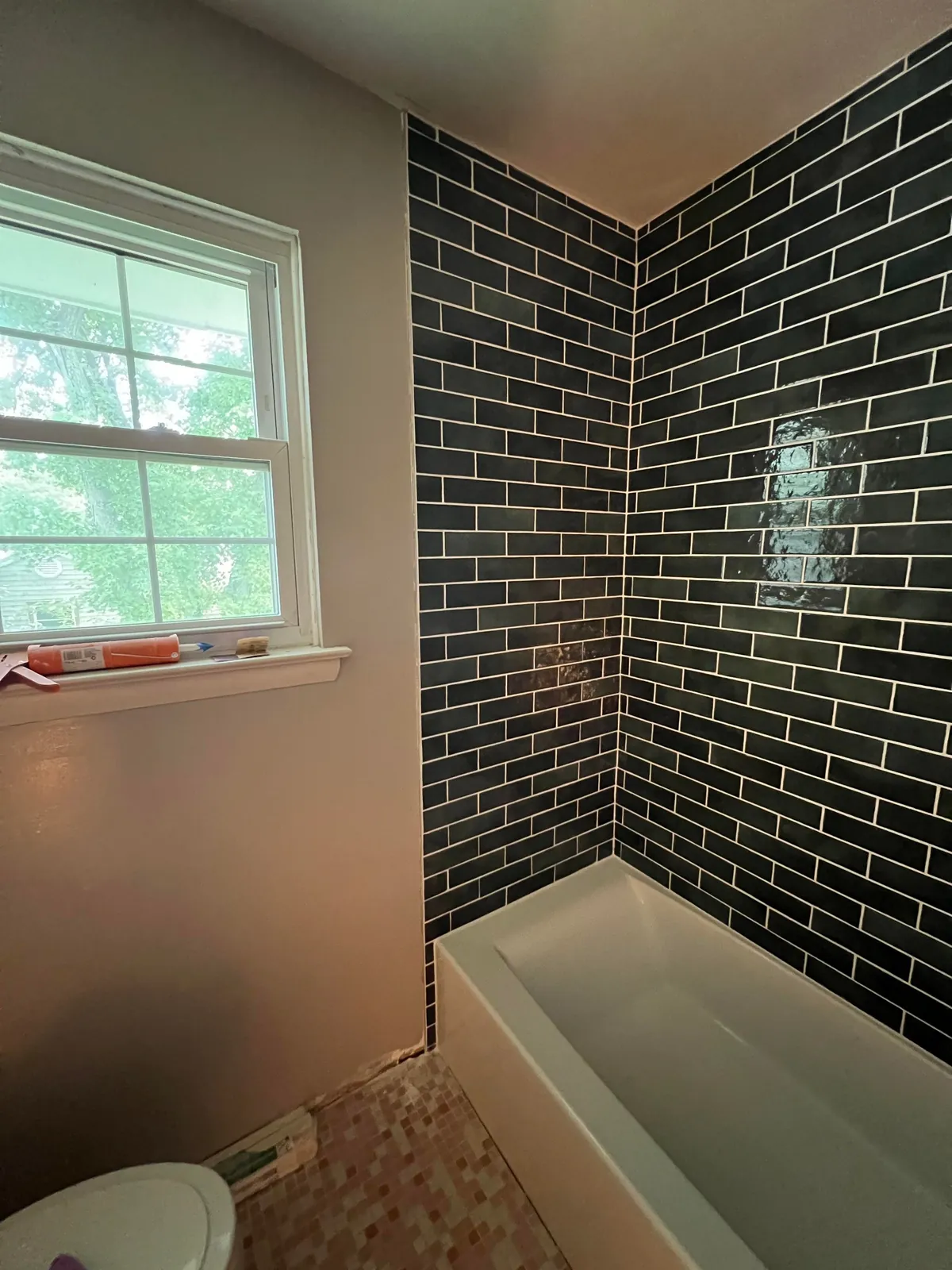 Remodeling the Only Bathroom in the House